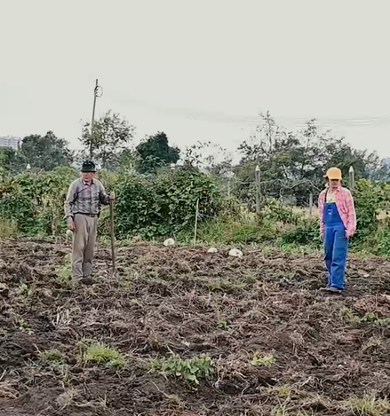 Participantes del Proyecto Wayra en actividades de agricultura, revisando el trabajo realizado.