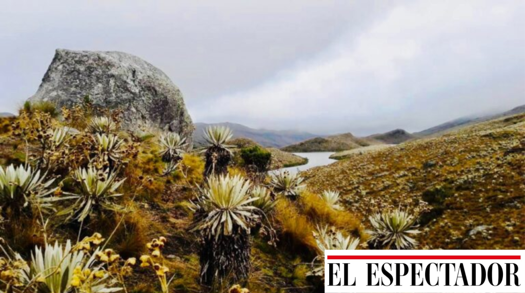 Fotografía del Páramo Sumapaz